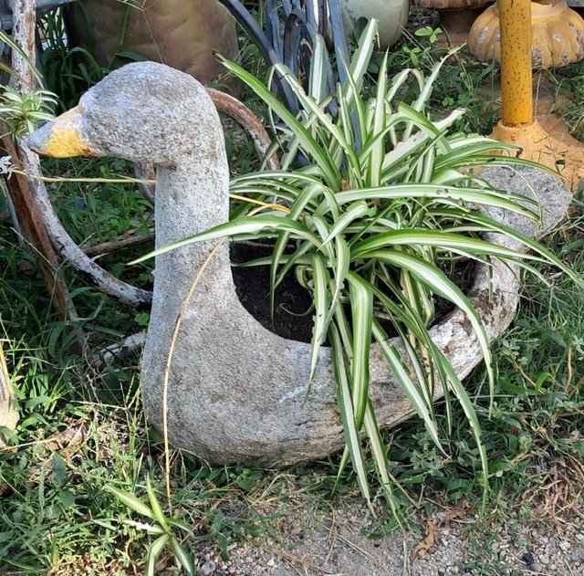 Lote anterior: Maceta de cerámica con forma de pato