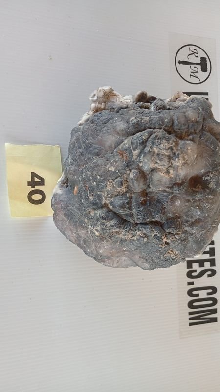 Conchas geológicas con agujeros - imagen 2