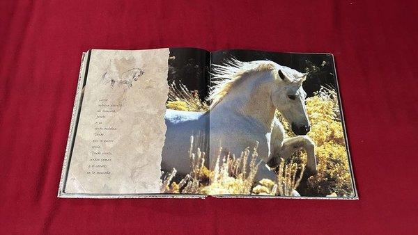 Libro "Reflexiones Caballo Andaluz" con Ilustraciones - imagen 1