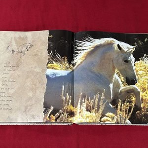 Lote siguiente: Libro "Reflexiones Caballo Andaluz" con Ilustraciones