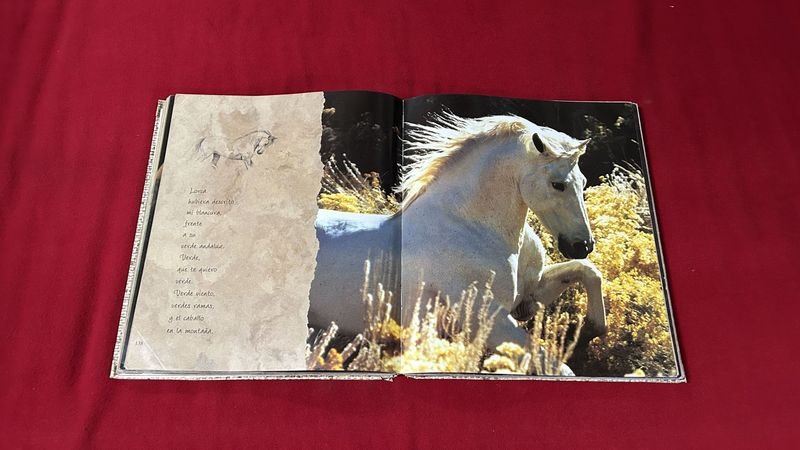 Libro "Reflexiones Caballo Andaluz" con Ilustraciones