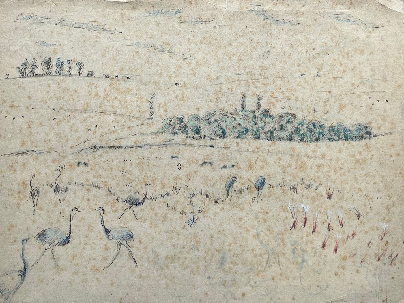 Obra de José Cuneo: "Ñandúes" en Tinta y Pastel sobre Papel