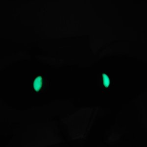 Visor Nocturno Generación 3 Canadiense PVS7 Funcional - imagen 6