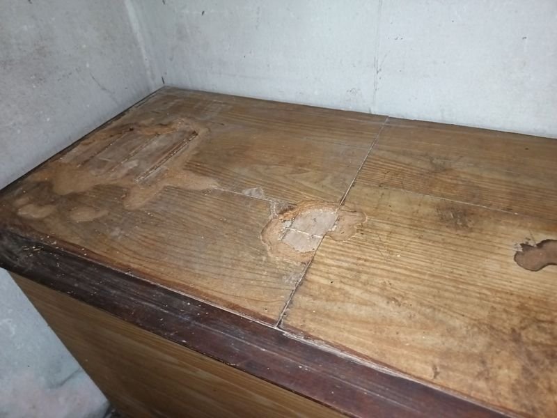 Item 926946 - Image 1