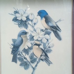 lámina de estilo vintage que presenta tres pájaros azules (que asemejan a azulejos o sialias) - imagen 2