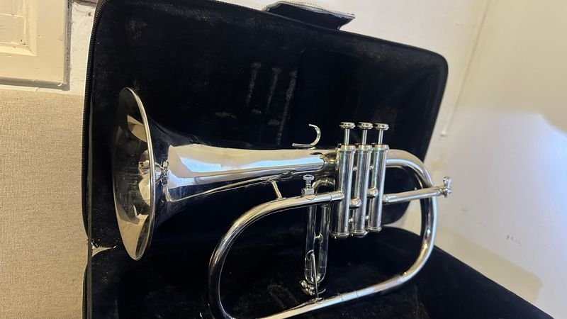 Fliscorno con estuche de música - imagen 3
