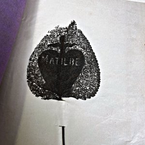 Seis Libros Antiguos con Ilustraciones y Hojas Caladas - imagen 11
