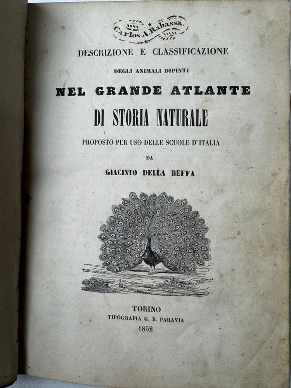 Libro antiguo de historia natural con ilustraciones - imagen 3
