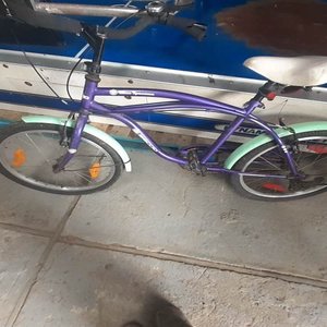 Lote anterior: Bicicleta Infantil Violeta y Verde