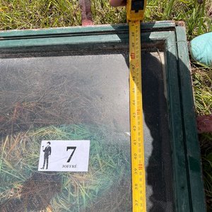 Lote anterior: Ventanal con Vidrio Fuerte y Marco Verde