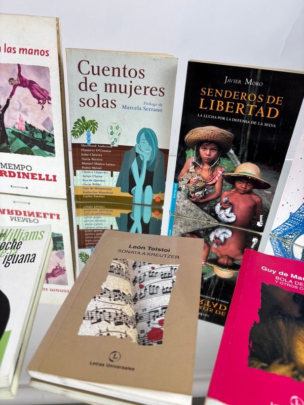 Colección de libros clásicos y contemporáneos - imagen 8