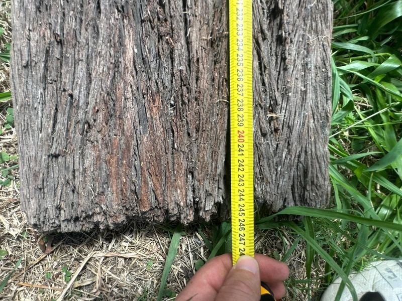 Item 889382 - Image 1