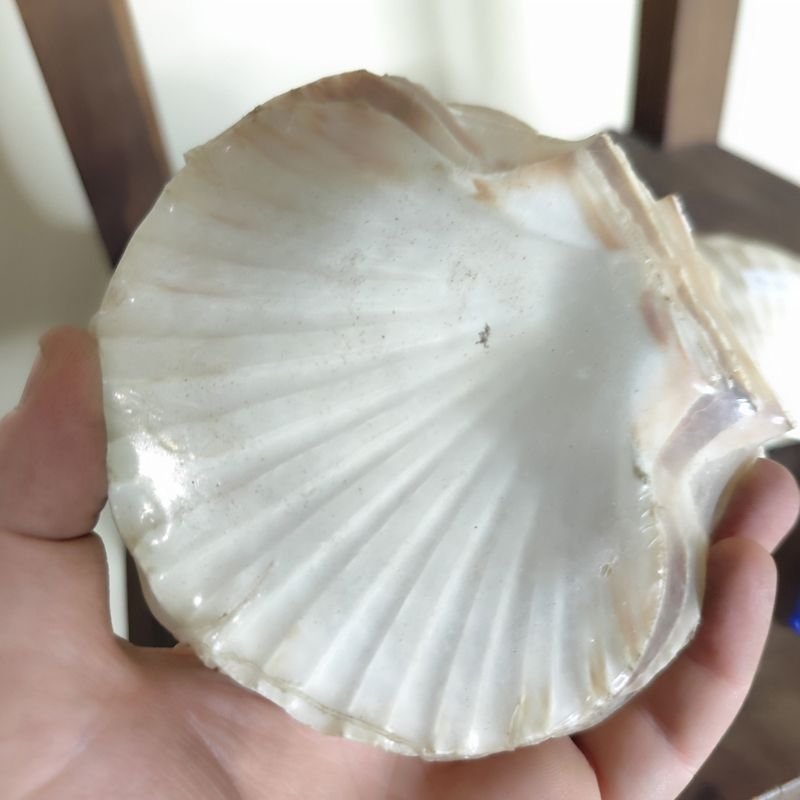 Item 880347 - Image 1