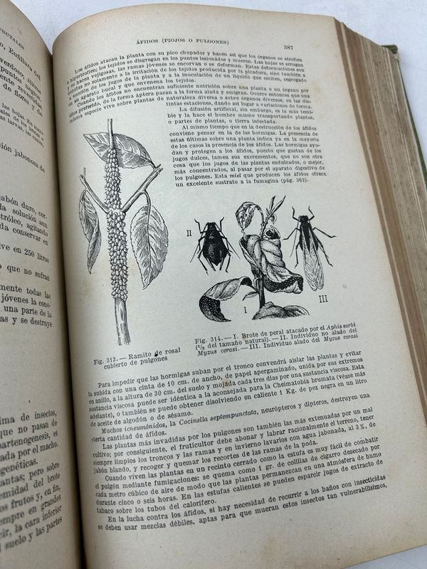 Cuatro libros de agricultura y aves en español - imagen 6