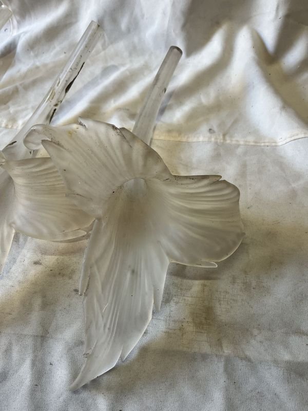 Item 883979 - Image 4