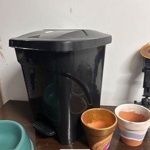 Lote Variado: Papelera Negra, Macetas Decoradas y Souvenirs - imagen 3
