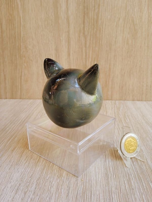 Cabeza de Gato con Ojos de Vidrio y Medalla - imagen 3