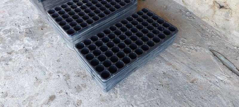 Item 848175 - Image 2