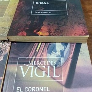 Libros de Mercedes Vigil: El Mago de Toledo, Gitana y Más - imagen 5