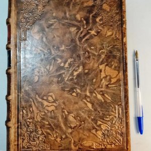 Antiguo Libro "Las Medallas Chilenas" de José Toribio Medina (1901) - imagen 9