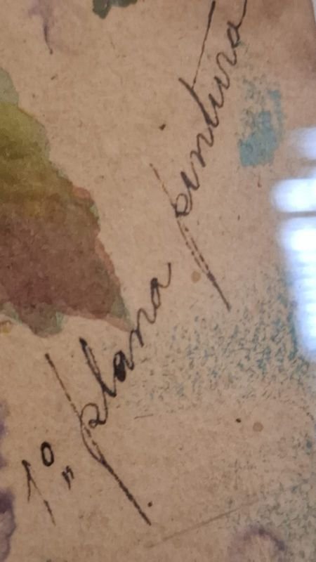 Item 856348 - Image 3