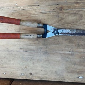 Lote siguiente: CORTADORA DE CERCOS TRUPER