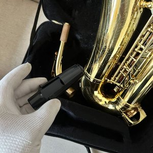 Saxofón Alabama Dorado con Estuche - imagen 12