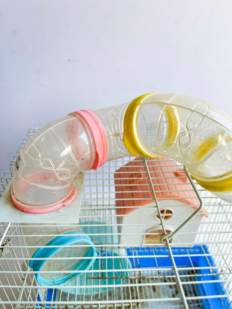 Jaula para Hamsters de Plástico con Accesorios Azules y Rosas - imagen 2