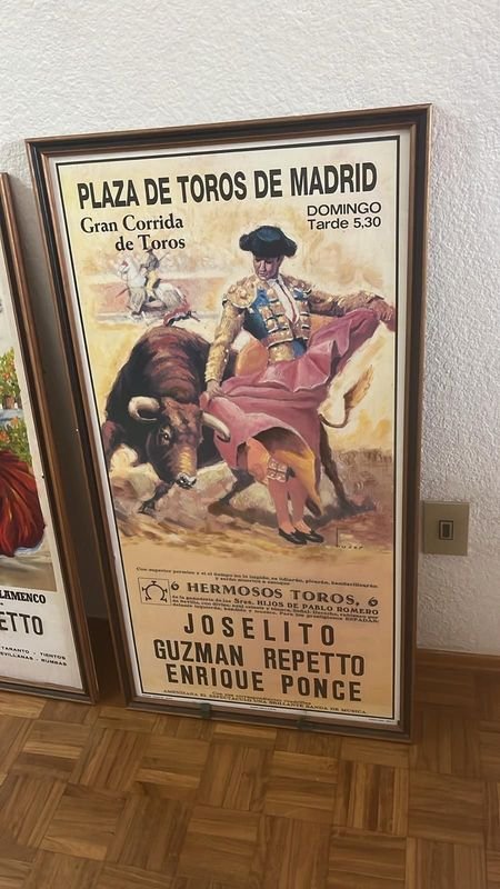 Dos cuadros decorativos flamencos y de toros - imagen 5