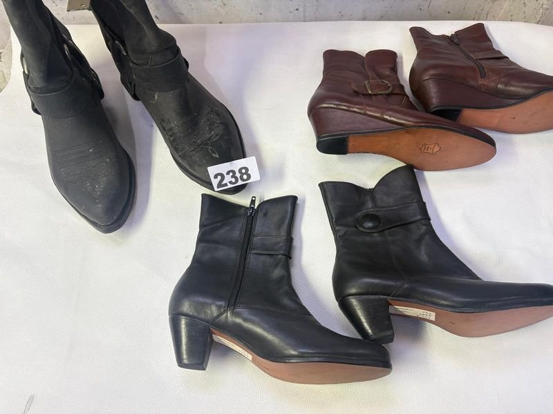 Lote de Botas y Botinetas de Dama Variadas