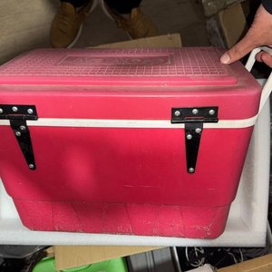 Lote anterior: Conservadora Cobey Grande Roja con Manijas Usada