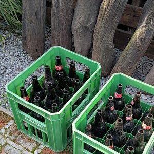 Dos Cajas Plásticas Verdes con Botellas Vacías Salus - imagen 4