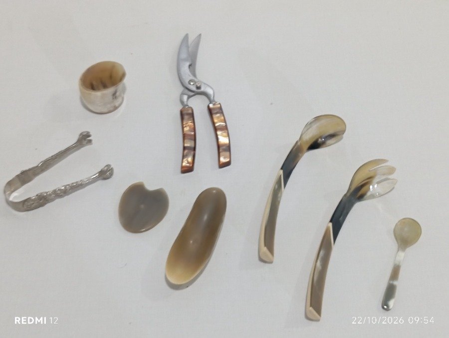 Set de 8 Piezas Variadas de Mesa y Cocina: Cubiertos, Tijera y Pinza