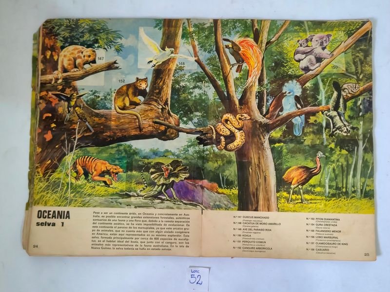 Item 844753 - Image 12