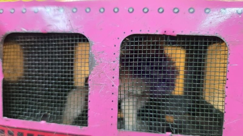 Item 881070 - Image 1