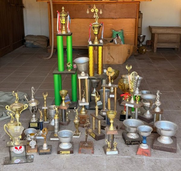 Lote de Trofeos Deportivos Variados