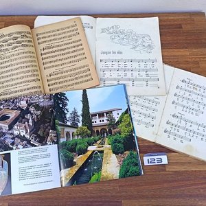 Lote de Libros: Diccionario Ilustrado, Gran Diccionario Español-Inglés, Solfeo y Cantos - imagen 3