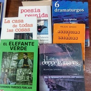 Lote de 16 Libros: Narrativa, Poesía, Teatro y Más - imagen 2