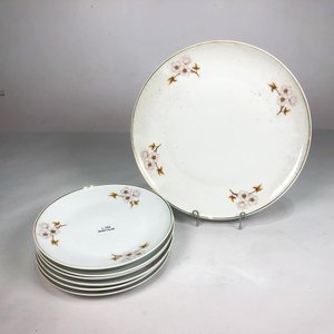 Conjunto de 7 Piezas de Porcelana Schmidt: Plato Central y Platos de Postre con Flores - imagen 1
