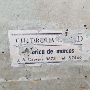 Conjunto de 6 Marcos con Láminas Decorativas y Vacíos - Mascotas y Molduras - imagen 4