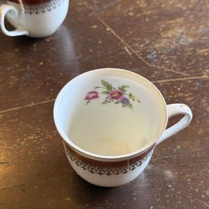 Juego de 5 Tazas con Plato de Porcelana Stanitta Paraná con Flores - imagen 3
