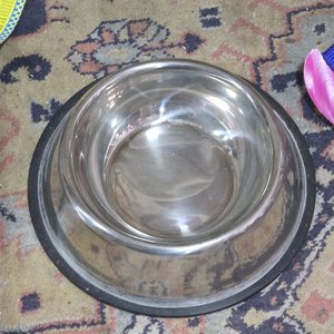 Árbol Rascador para Gatos y Accesorios para Mascotas - imagen 4