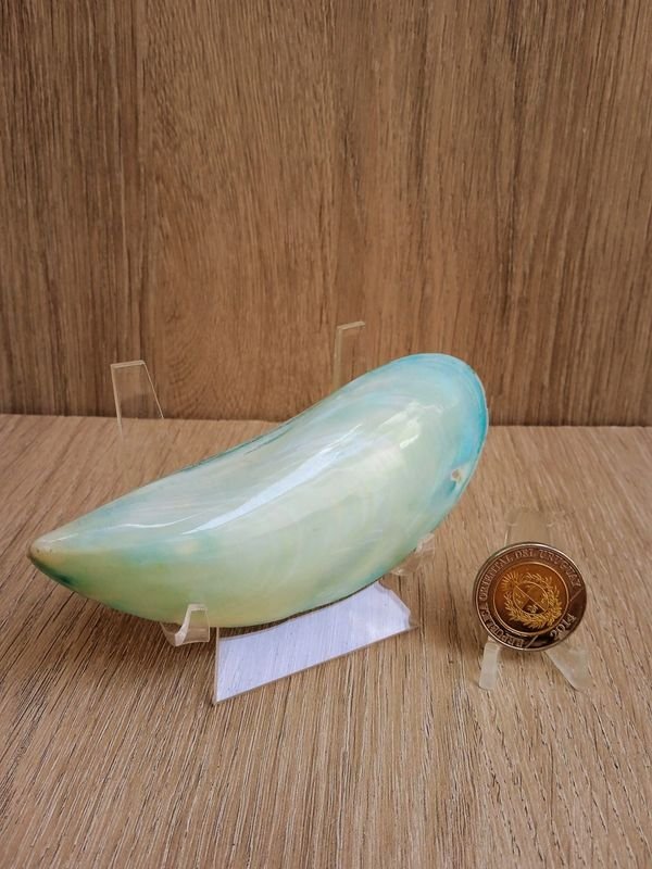 Item 884185 - Image 0