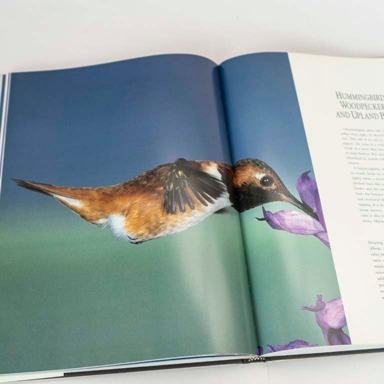 Item 2111719 - Image 1