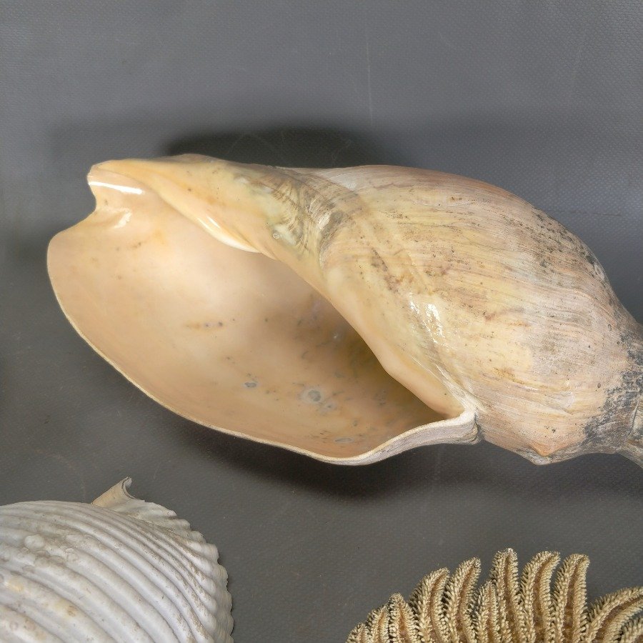 Item 15836 - Image 5