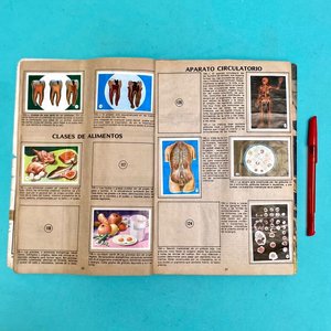 Álbumes Educativo "El Cuerpo Humano" y "Mundial de Fútbol 1974" - imagen 4