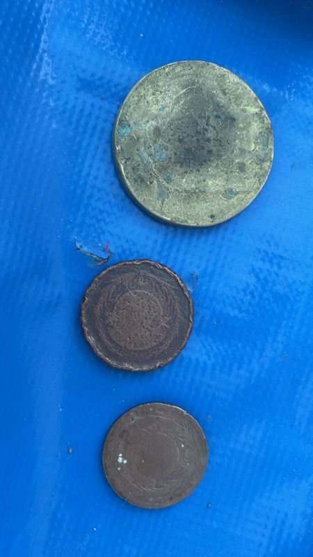 Item 842817 - Image 3