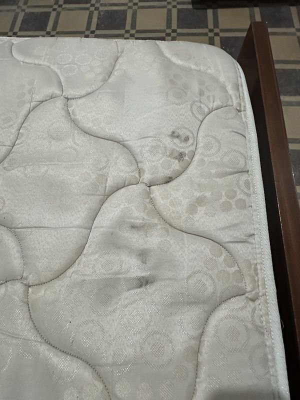 Item 874001 - Image 3