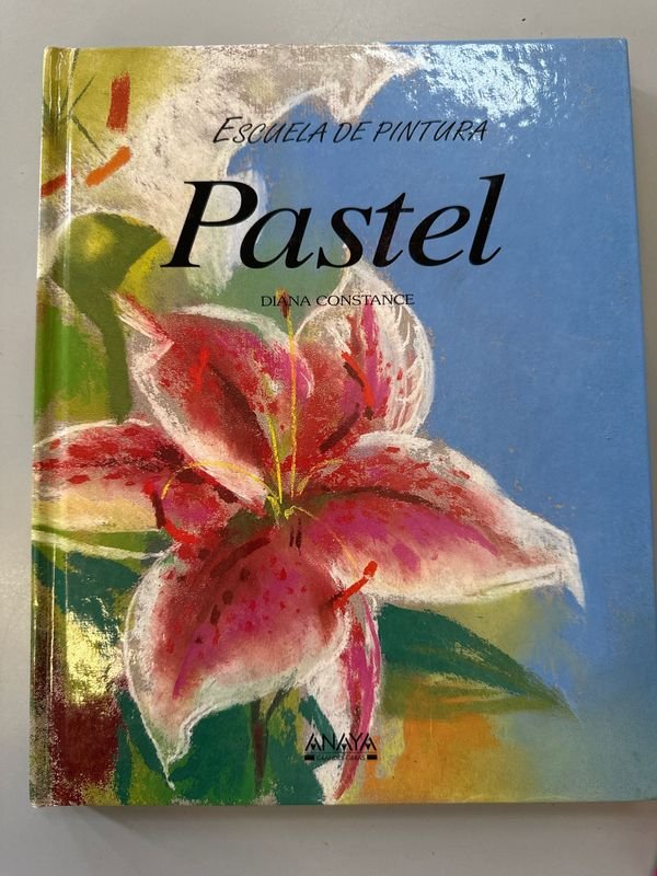 Libro de Pintura Pastel y Caja de Pasteles - imagen 2
