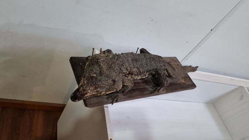 Item 718368 - Image 2